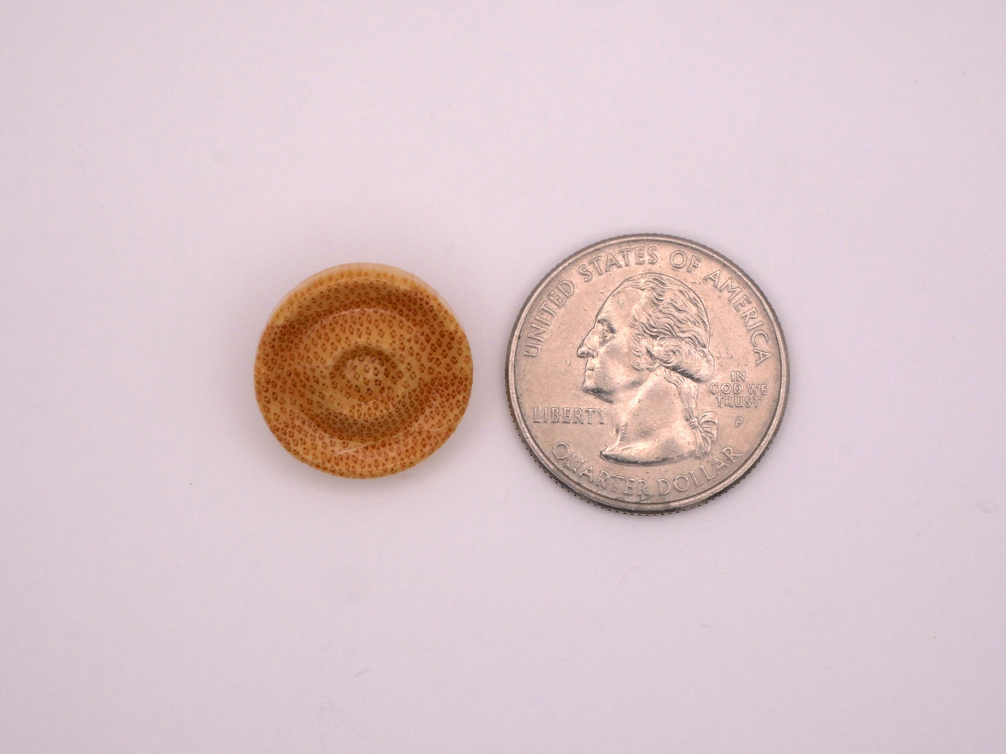 Bamboo End Grain Wood Pair of Buttons 18mm