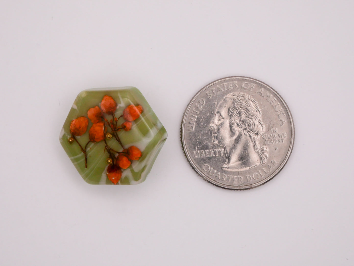 Habitat Dried Flower Green Orange Hexagon Plastic Button 20x22mm