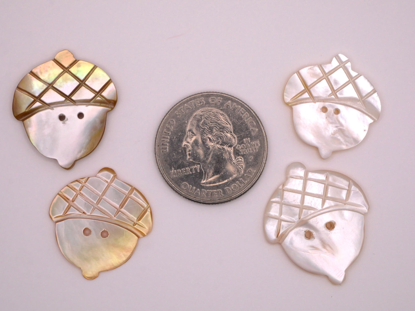 Acorn Mother of Pearl Shell Sew-Thru Buttons Various 23-28mm