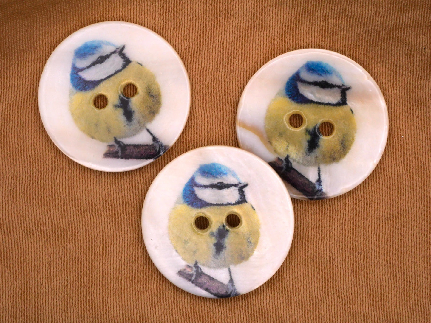 Mother of Pearl Eurasian Blue Tit Bird Branch Button 25mm
