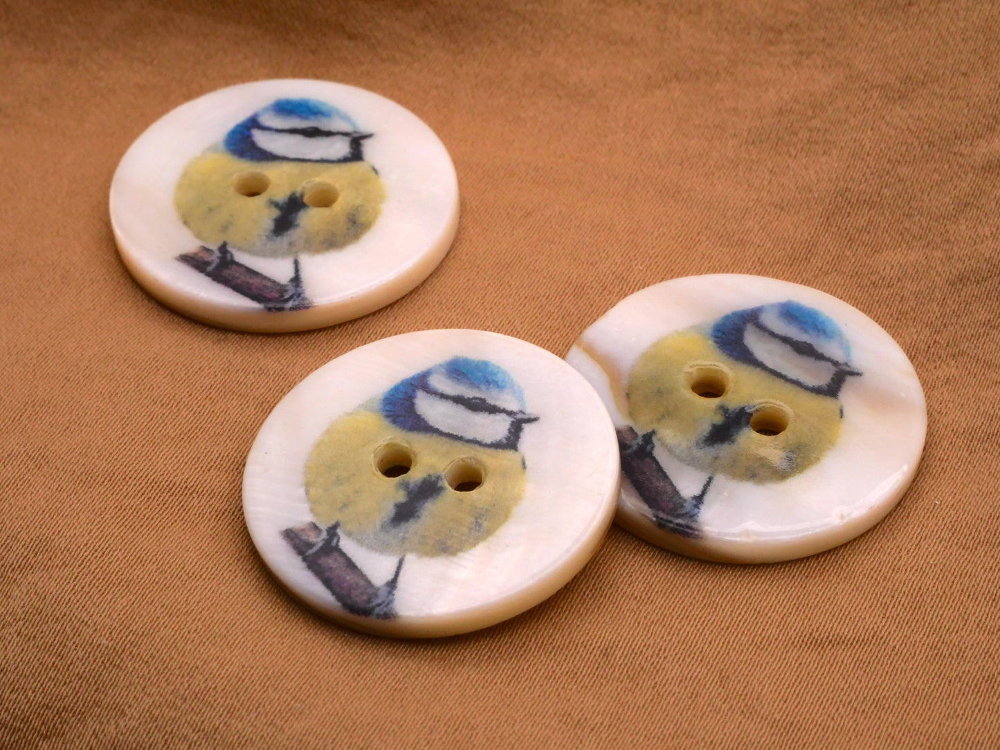 Mother of Pearl Eurasian Blue Tit Bird Branch Button 25mm