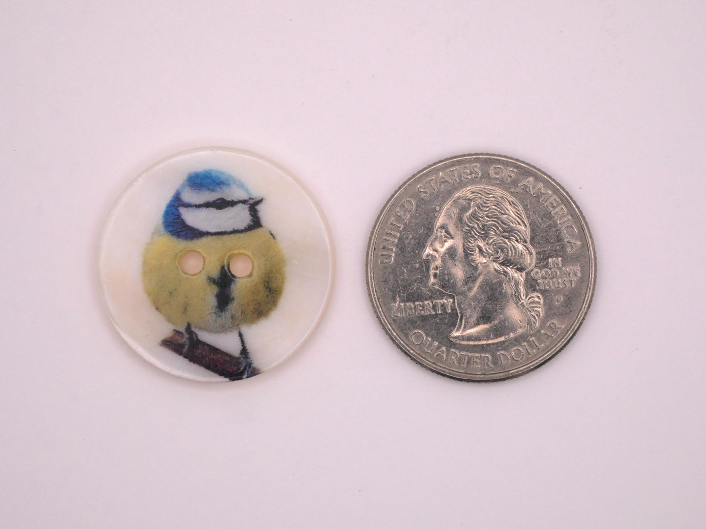 Mother of Pearl Eurasian Blue Tit Bird Branch Button 25mm
