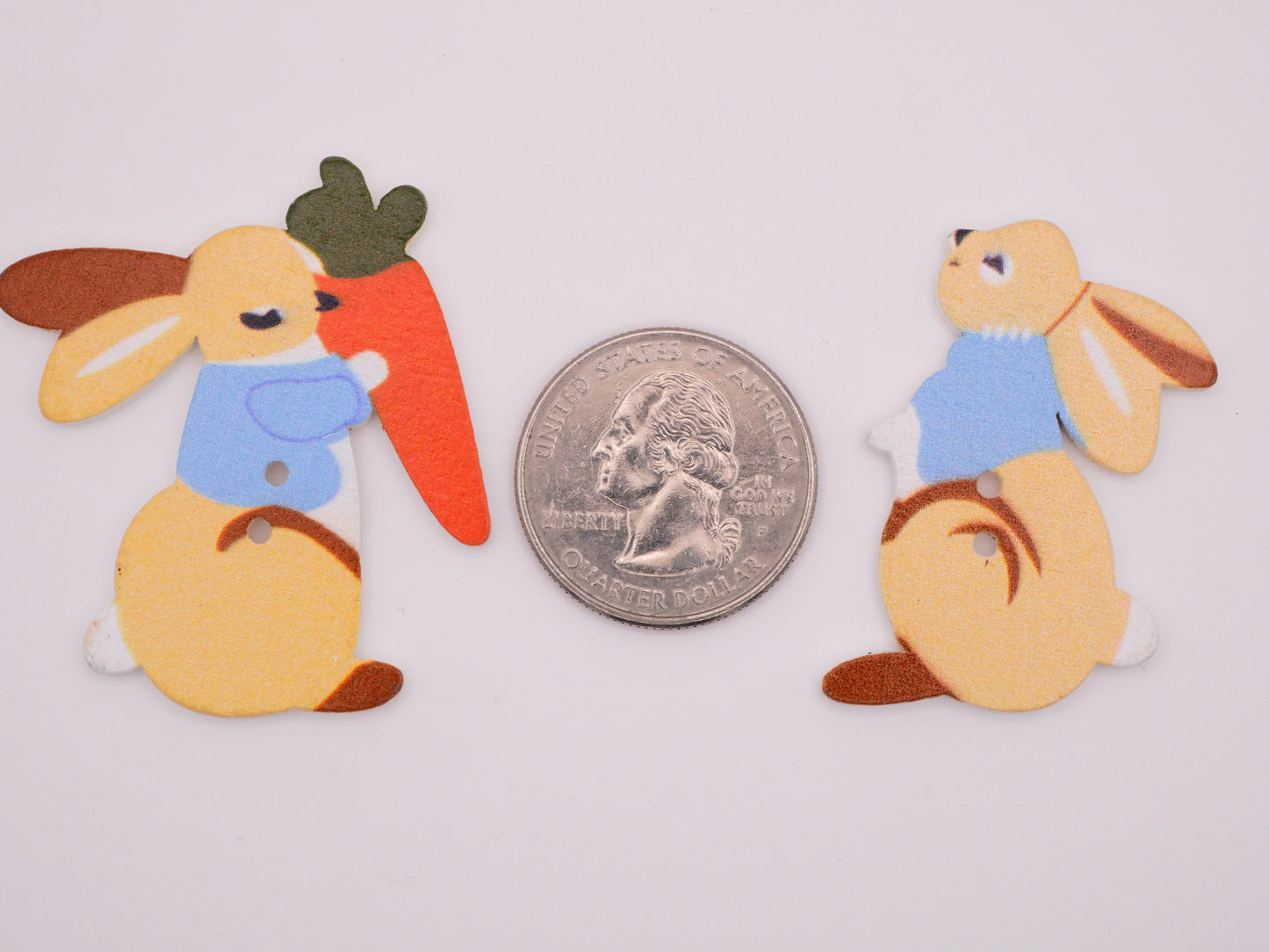 Peter Rabbit Look Bunny Carrot Wood Button 26-45mm