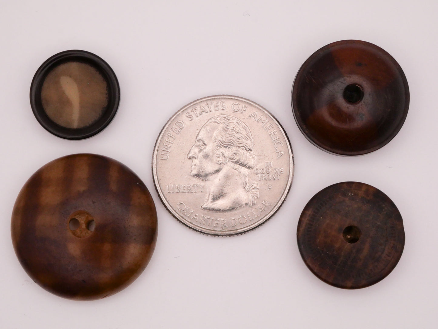 Vegetable Ivory Plaid Checkered Masculine Vintage Set of Four Buttons 15-25mm