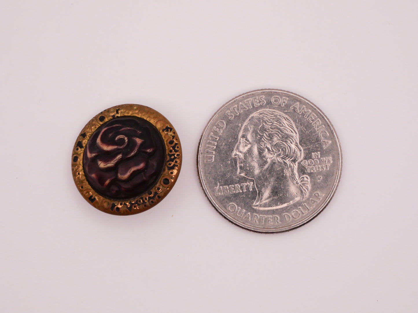 Rose Aubergine Buffed Celluloid Brass Metal Frame Antique Button 19mm