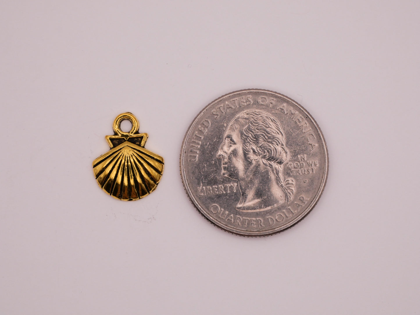 Shell Gold Metal Set of Five Charms Embellishments 12x14mm