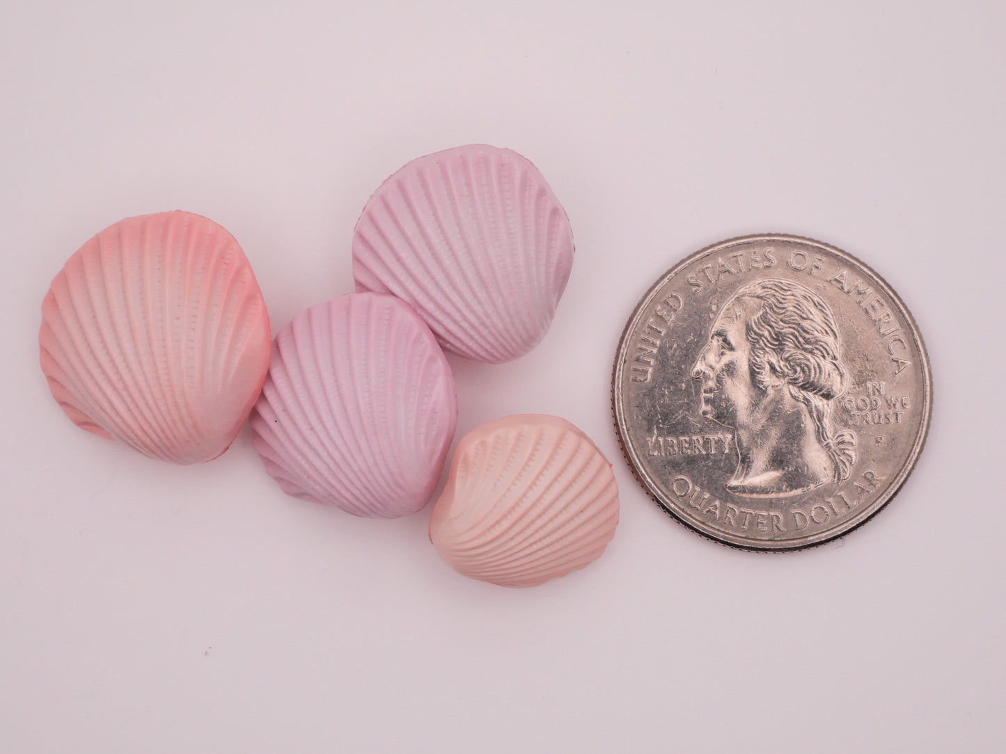 Seashell Shell Pink Lavender Plastic Set of Four Buttons 14-19mm