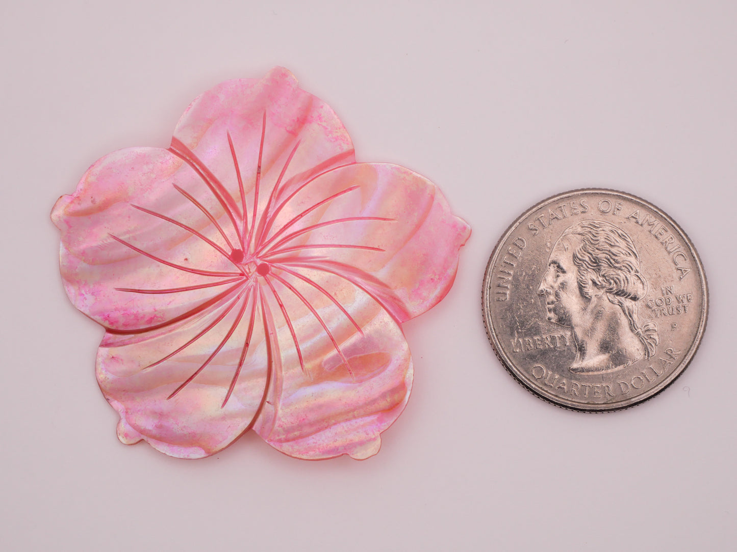 Hibiscus Mother of Pearl Carved Large Button Various 40-47mm