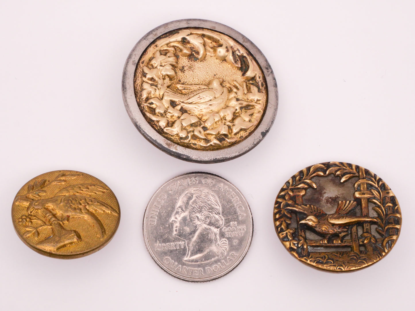 Bird Branch Nest Lattice Metal Picture Button Various 23-34mm