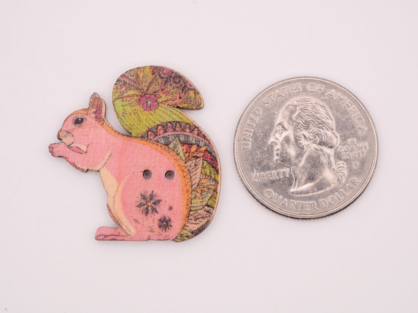 Squirrel Colorful Pattern Wood Set of Ten Buttons 28x30mm