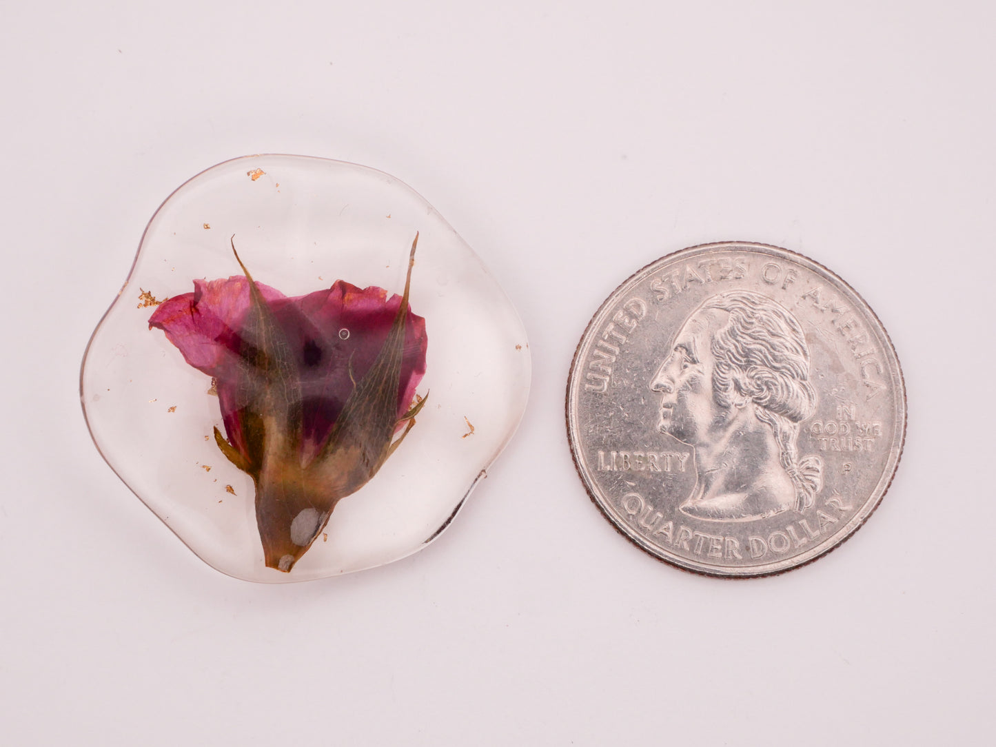 Rose Bud Habitat Like Real Flower Plastic Button 30mm