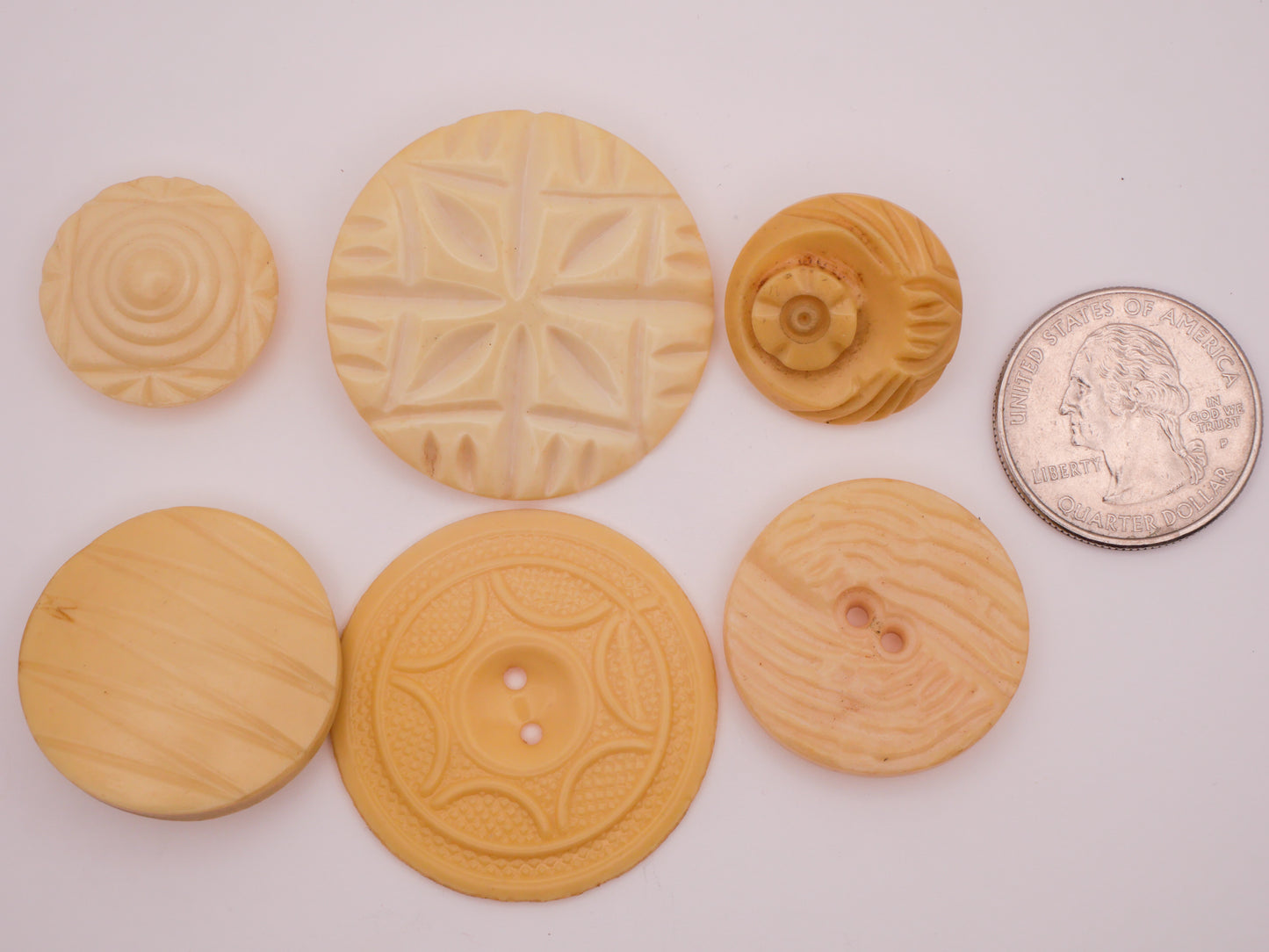 Ivory Carved Look Celluloid Early Plastic Button Various 21-35mm