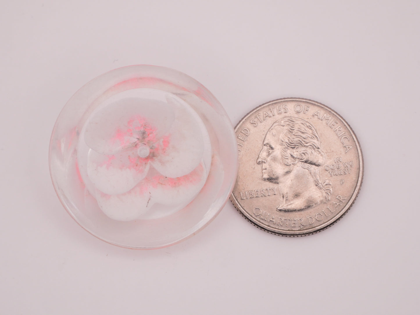 Pansy Flower Hand-Painted Intaglio Lucite Plastic Button 31mm