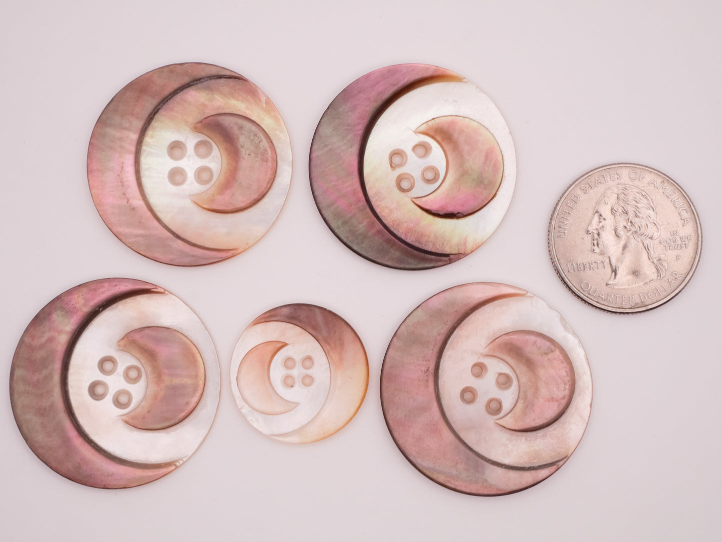 Crescent Moon Carved Smoky Purple Mother of Pearl Shell Button Various 22-33mm