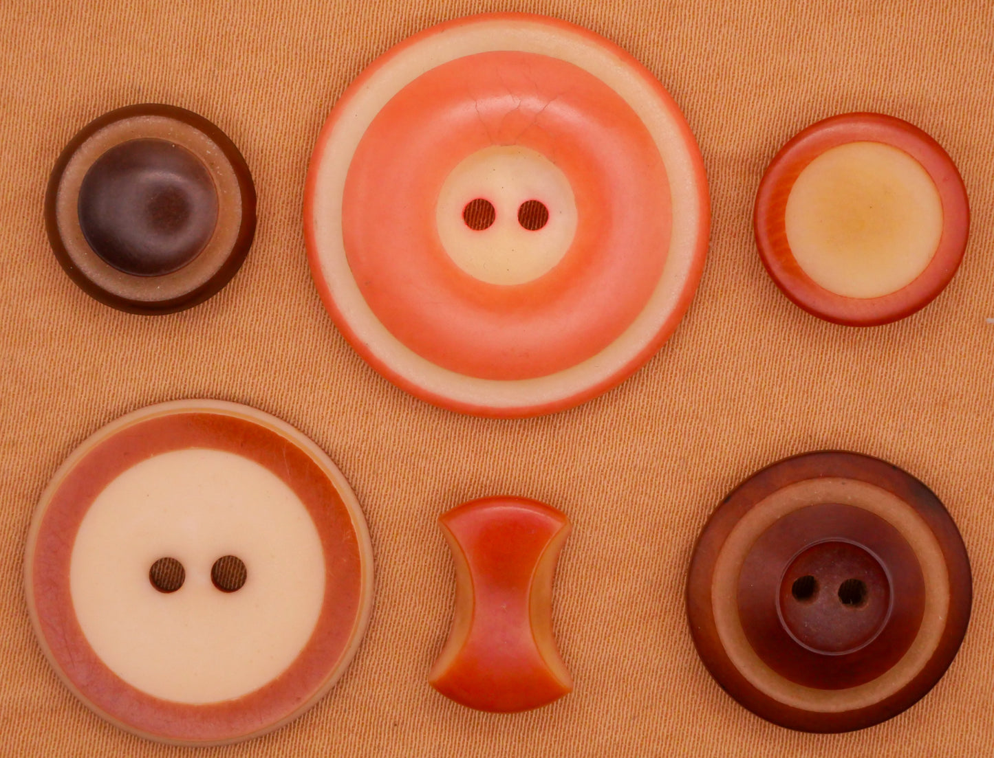 Two-Tone Vegetable Ivory Carved Tagua Nut Button Various 9-27mm