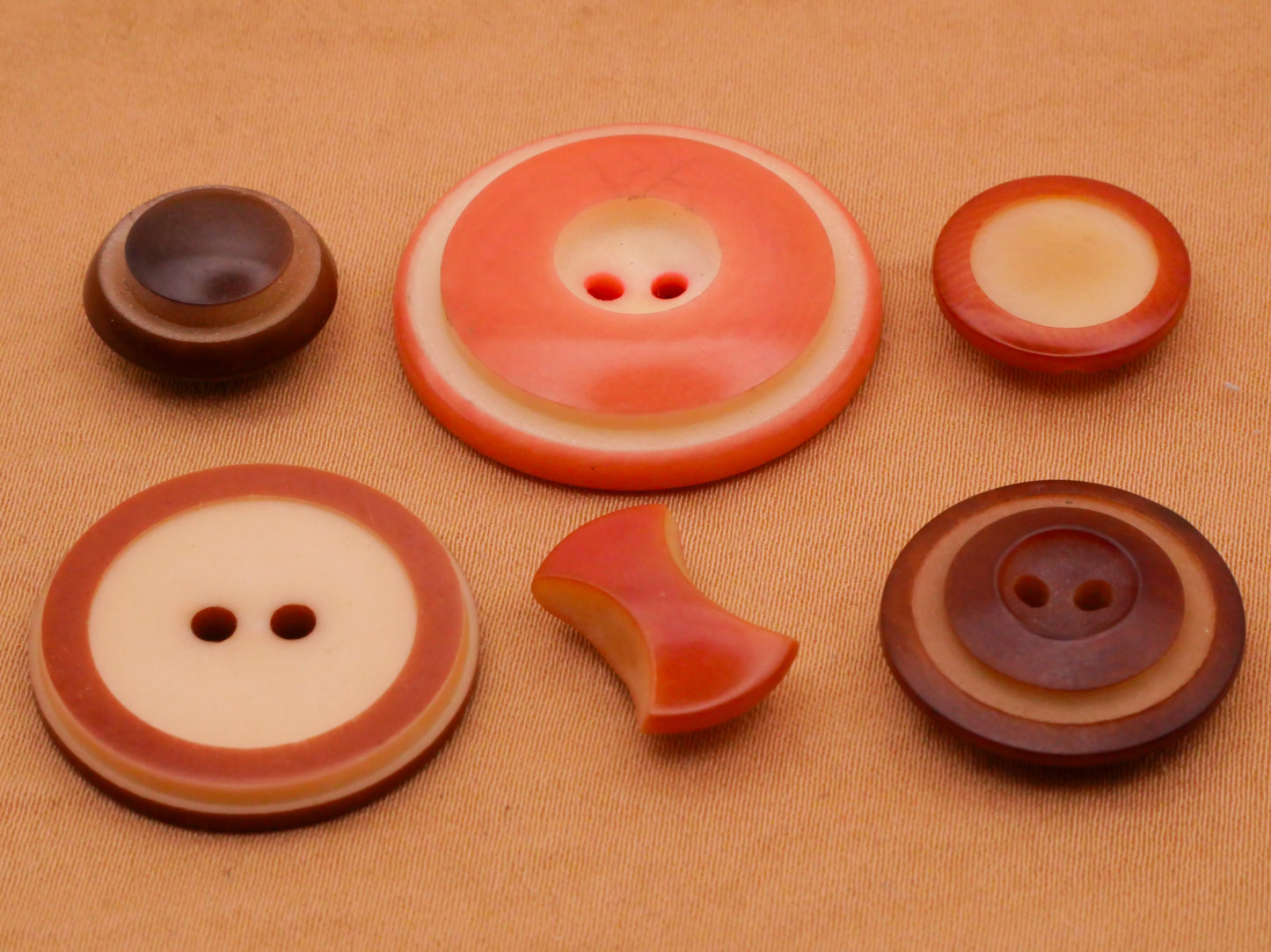 Two-Tone Vegetable Ivory Carved Tagua Nut Button Various 9-27mm