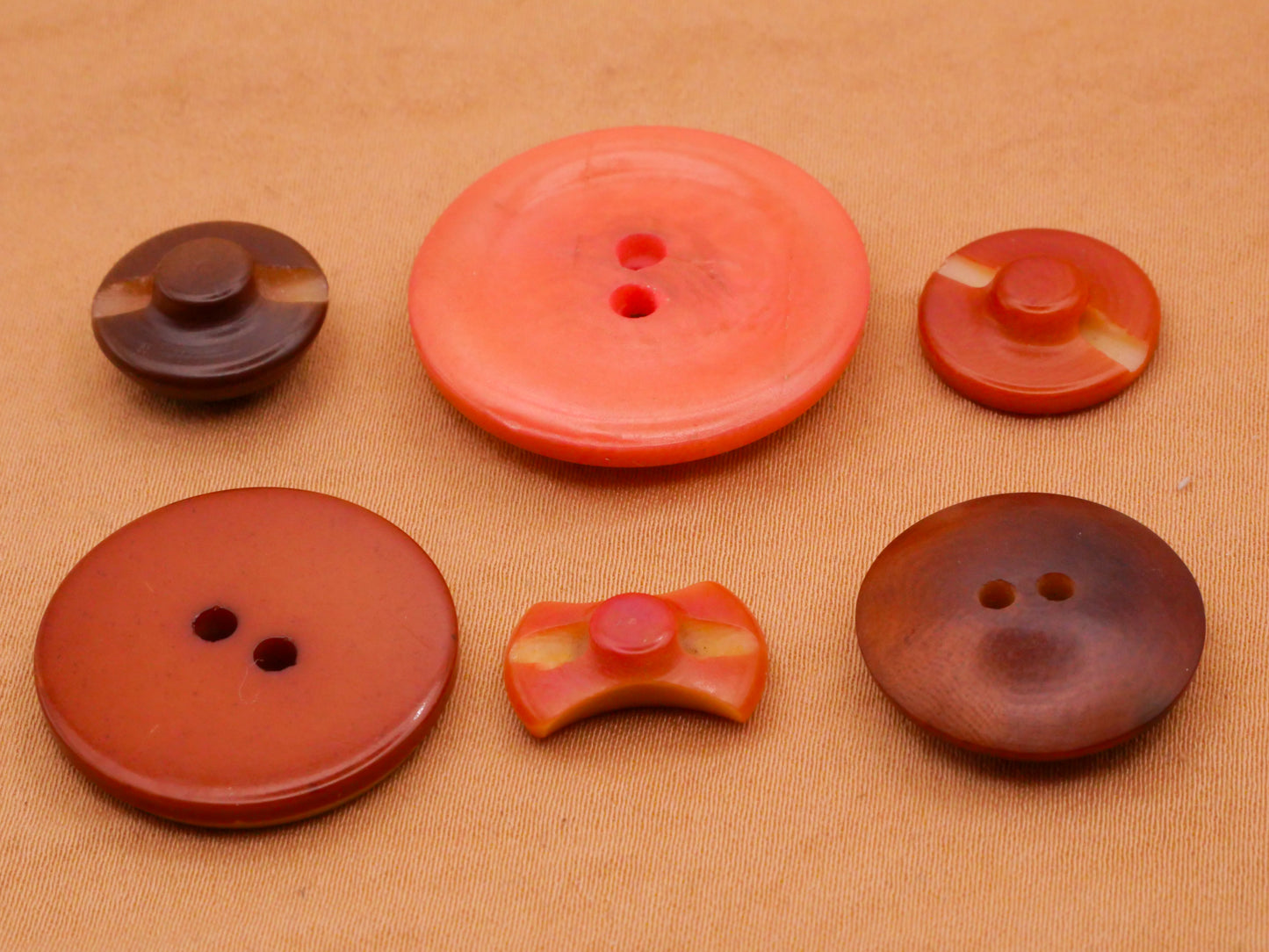 Two-Tone Vegetable Ivory Carved Tagua Nut Button Various 9-27mm