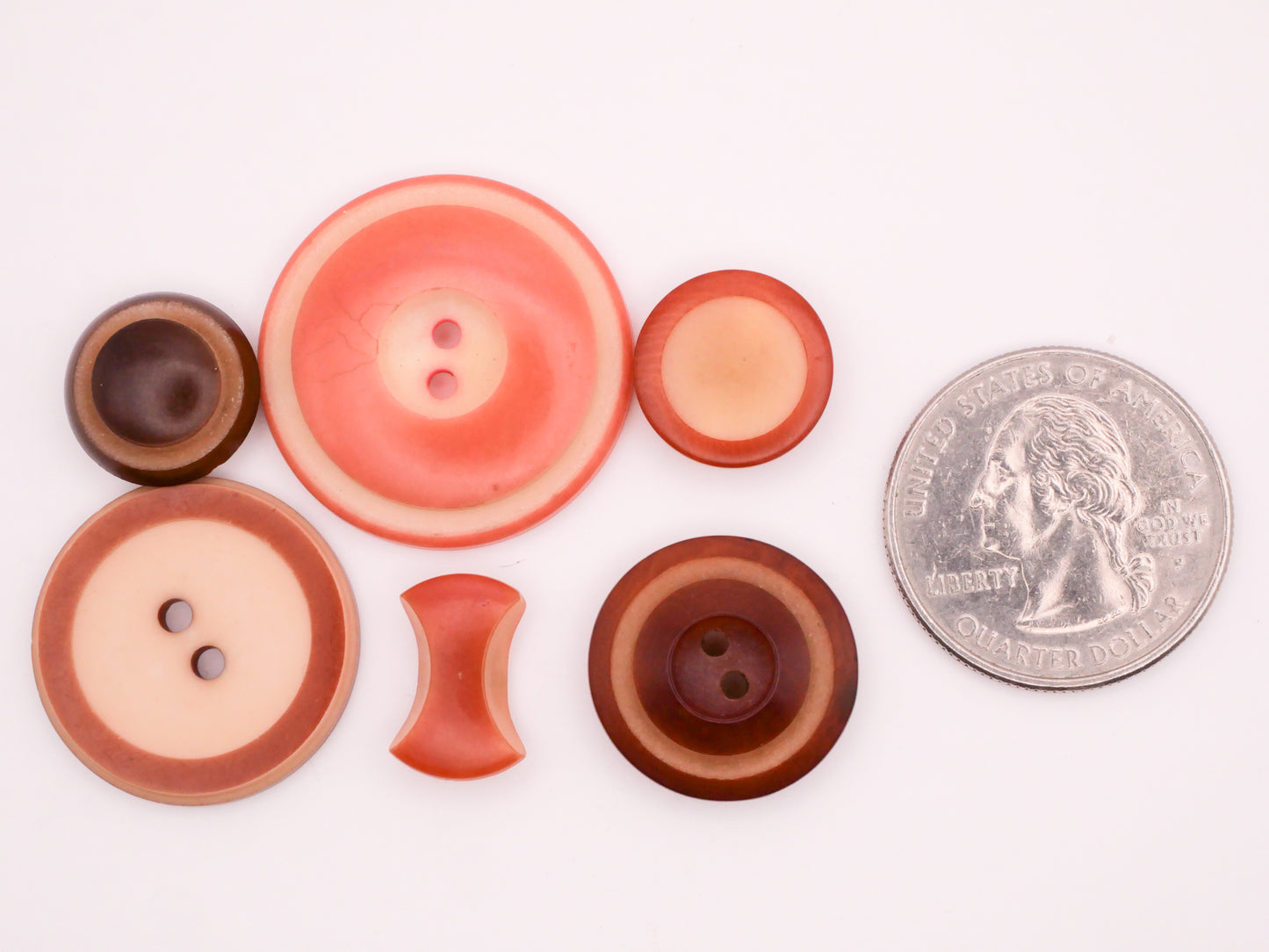 Two-Tone Vegetable Ivory Carved Tagua Nut Button Various 9-27mm