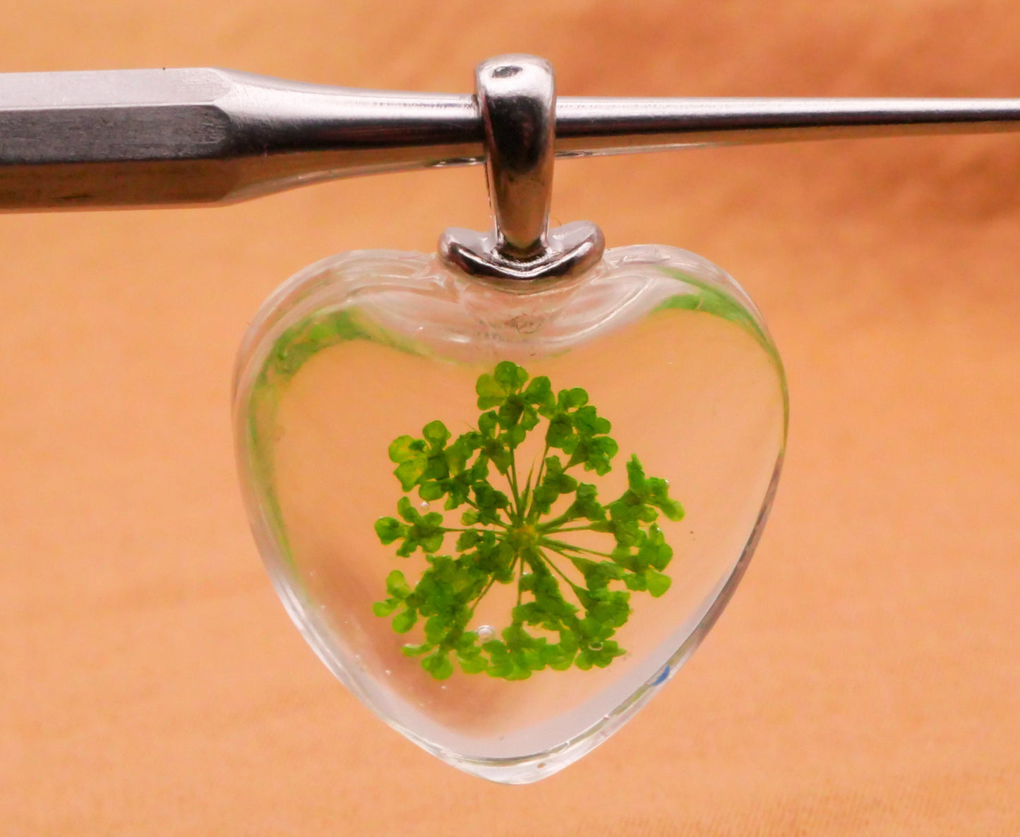 Heart Habitat Real Flower Plant Glass Pendant Charm 20x27mm