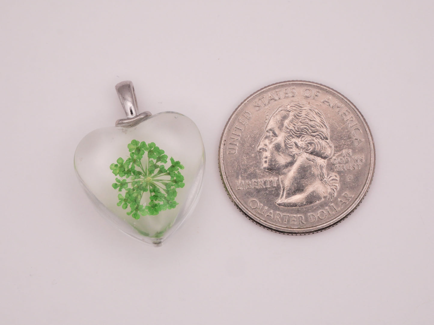 Heart Habitat Real Flower Plant Glass Pendant Charm 20x27mm