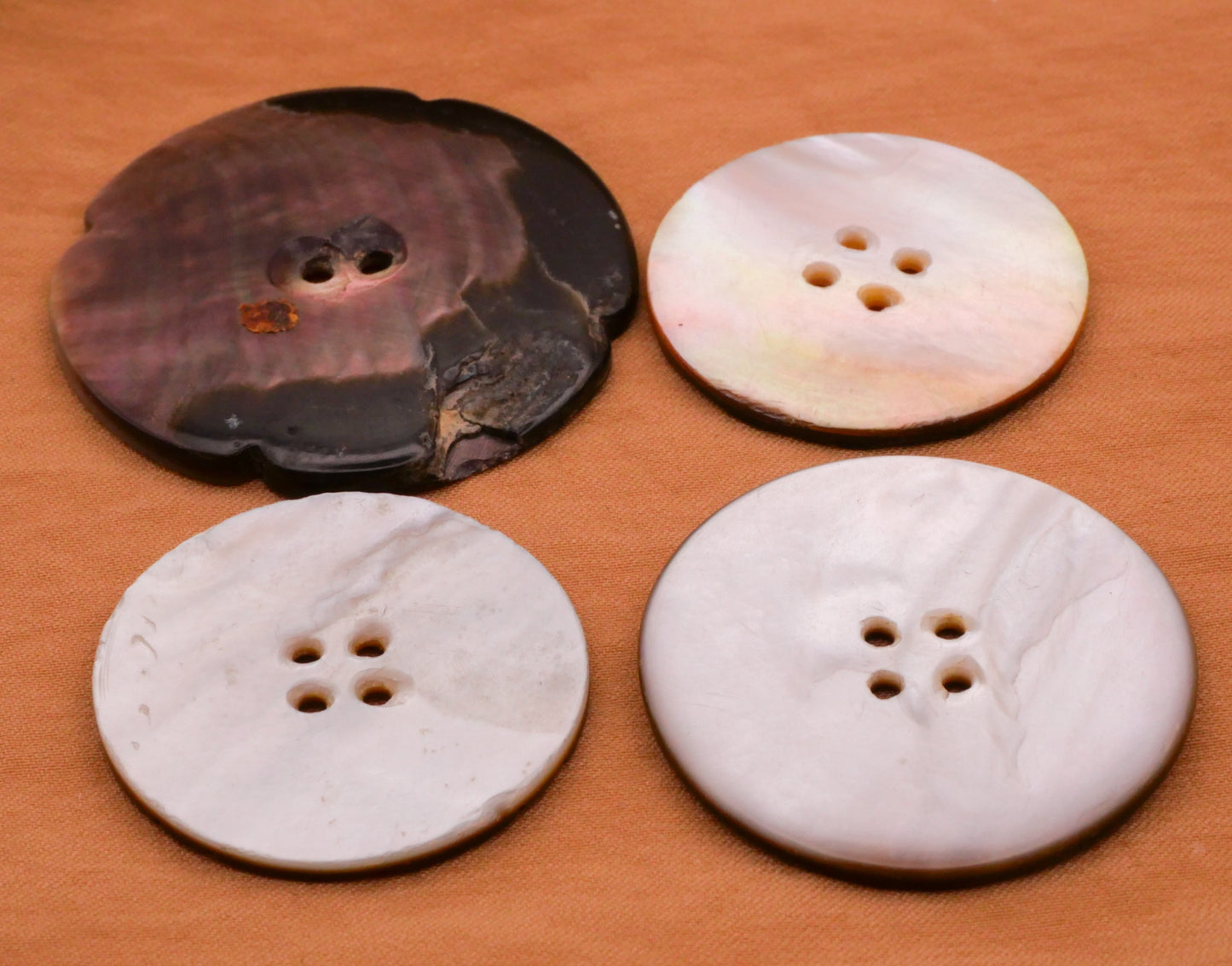 Flower Carved Mother of Pearl Button Various 27-37mm