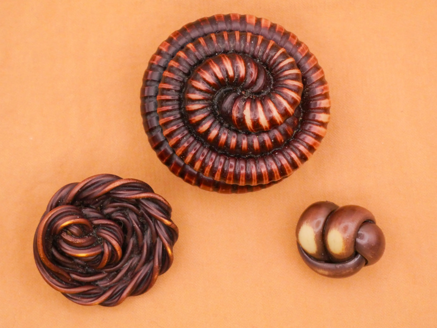 Extruded Brown Celluloid Early Plastic Button Various 15-34mm