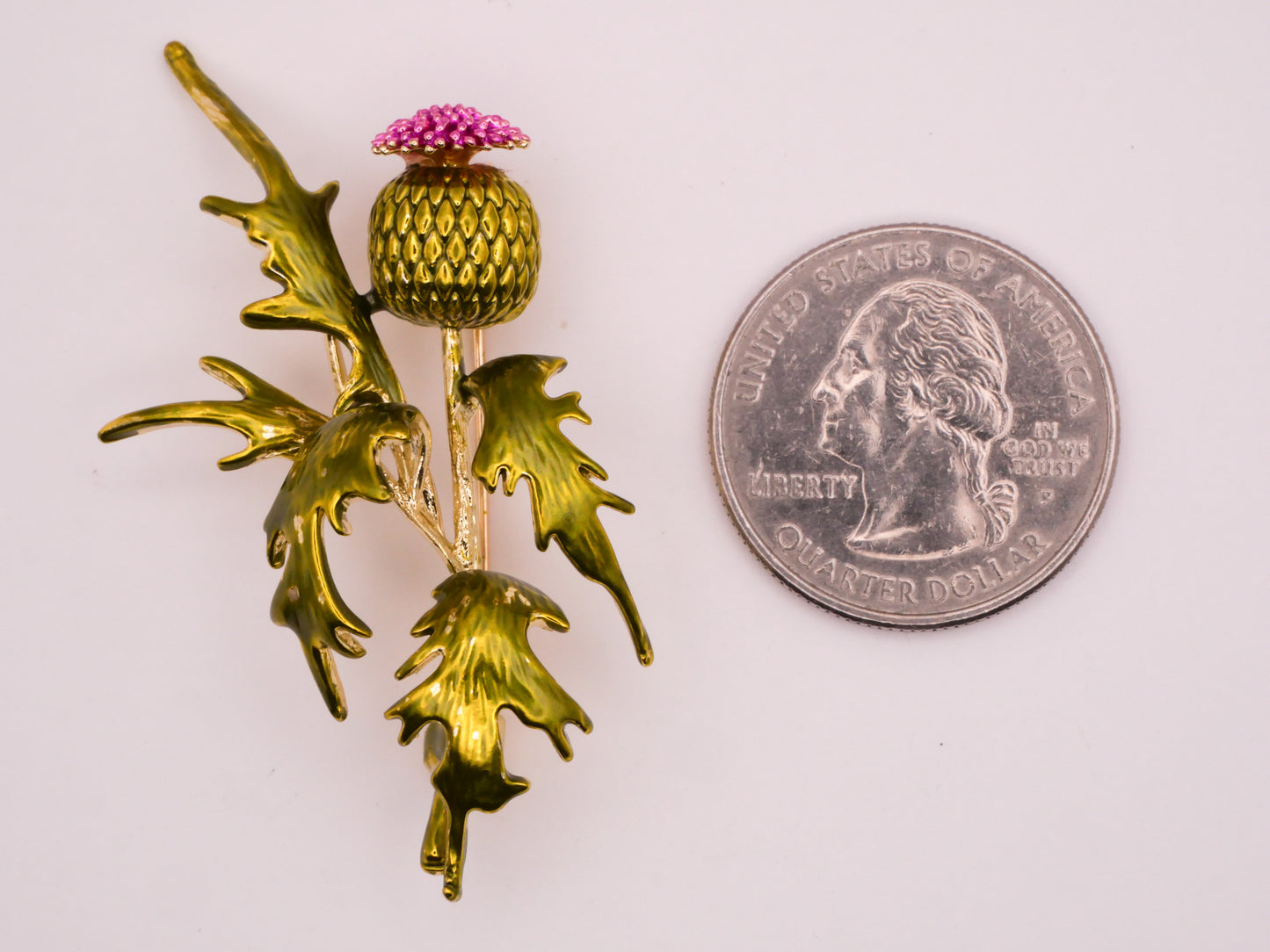 Thistle Realistic Enamel Painted Metal Large Brooch Pin Various 30x51mm