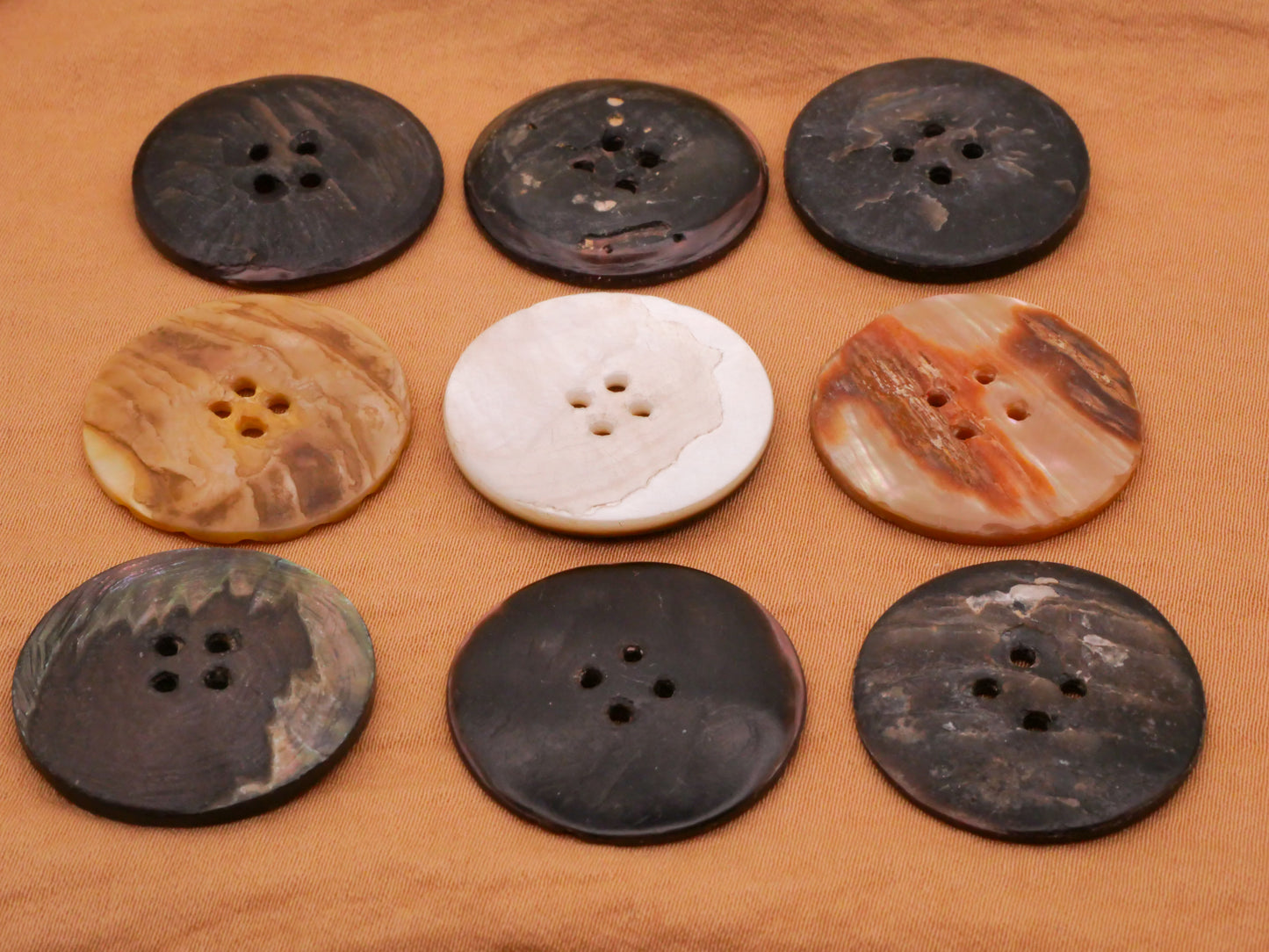 Array Radial Carved Mother of Pearl Shell Button Various 24-25mm