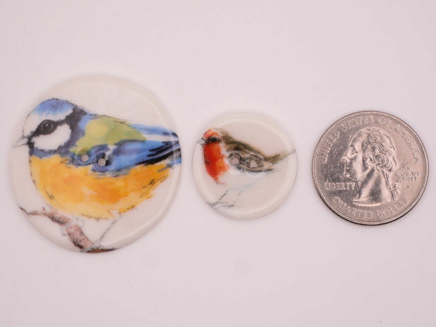 European Tit Robin Bird Ceramic Button Various 23-38mm