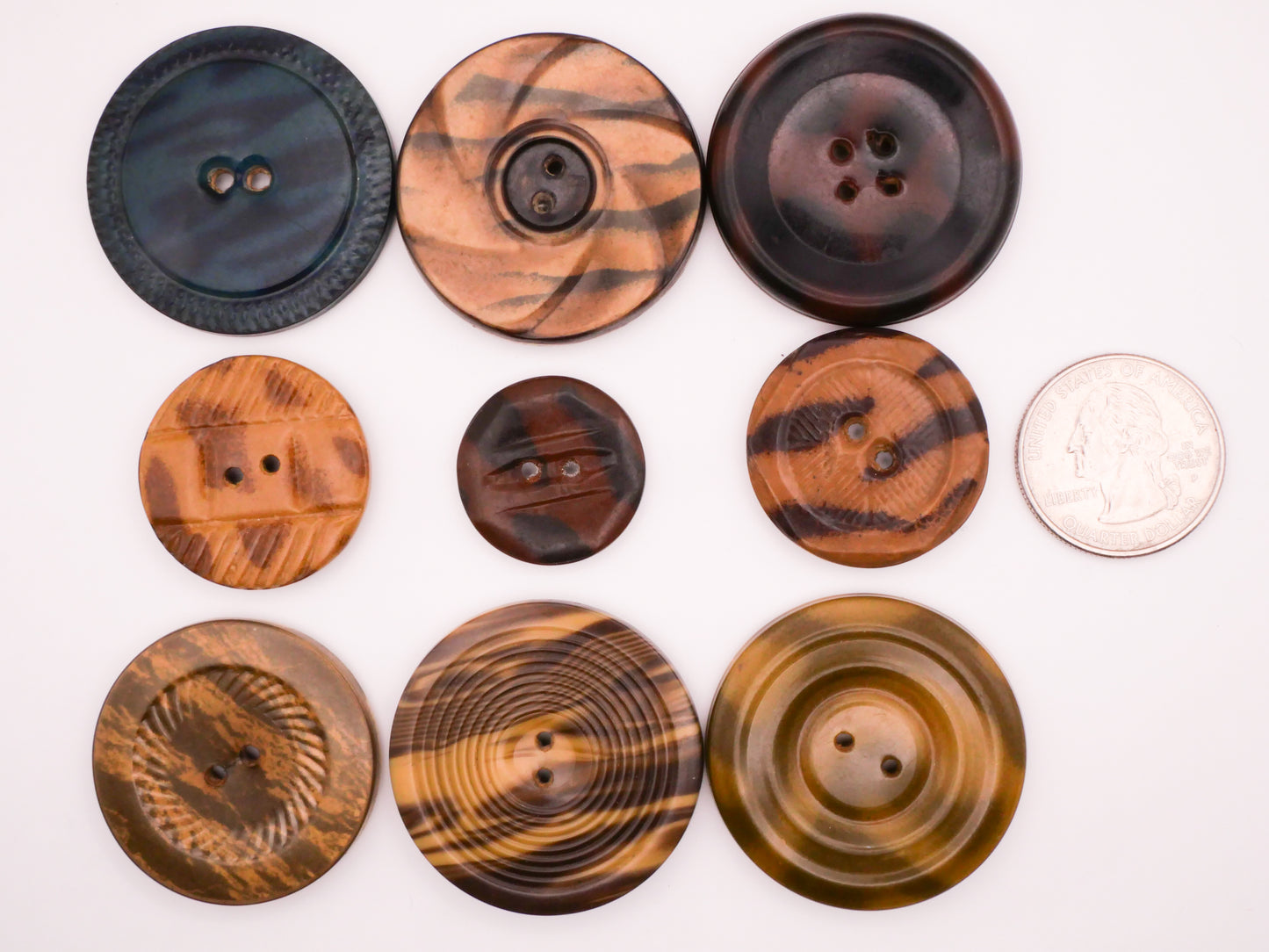 Animal Print Celluloid Tight Top Early Plastic Button Various 23-37mm