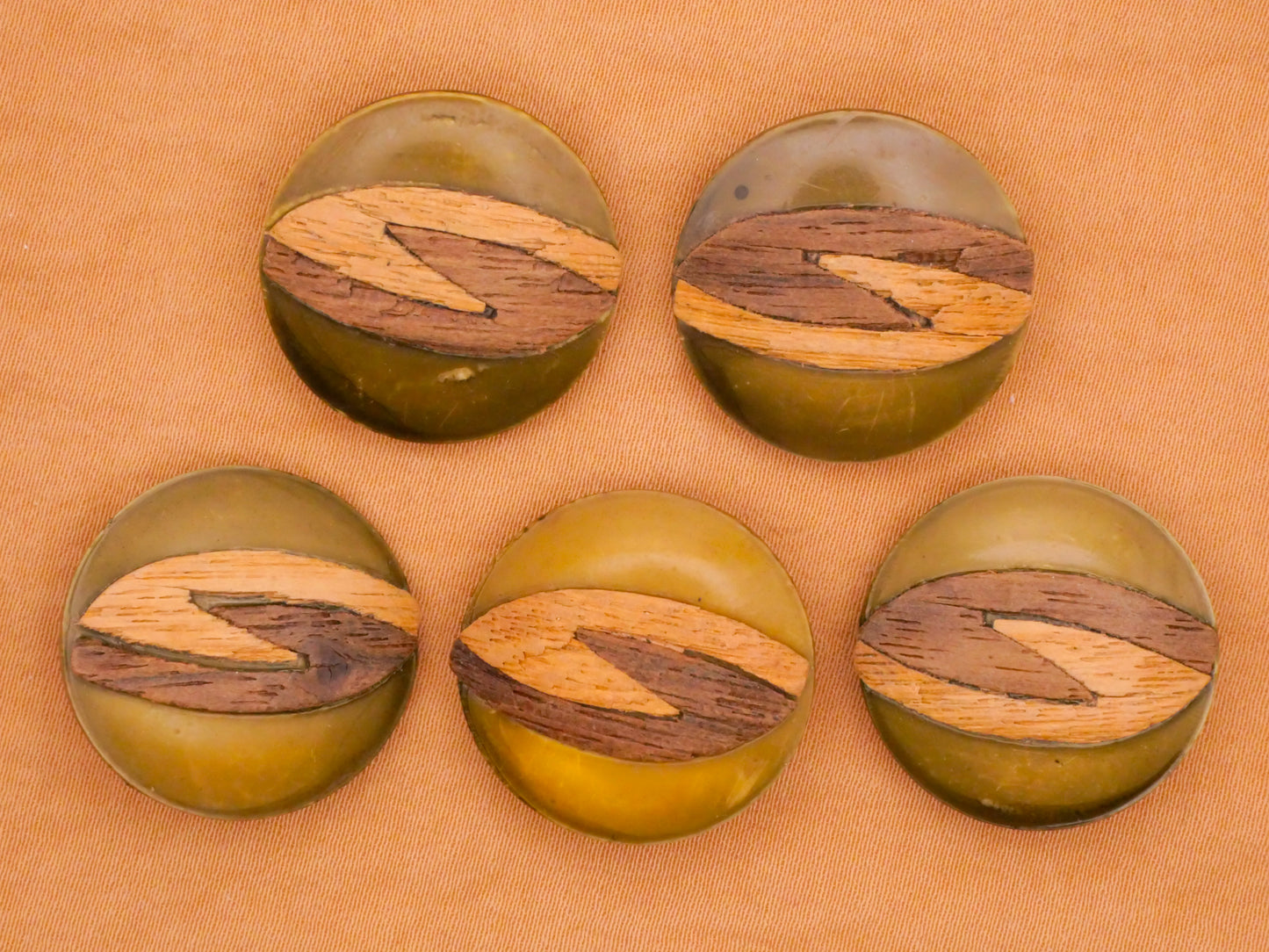 Two-Tone Wood Veneer Green Celluloid Early Plastic Button Various 22mm