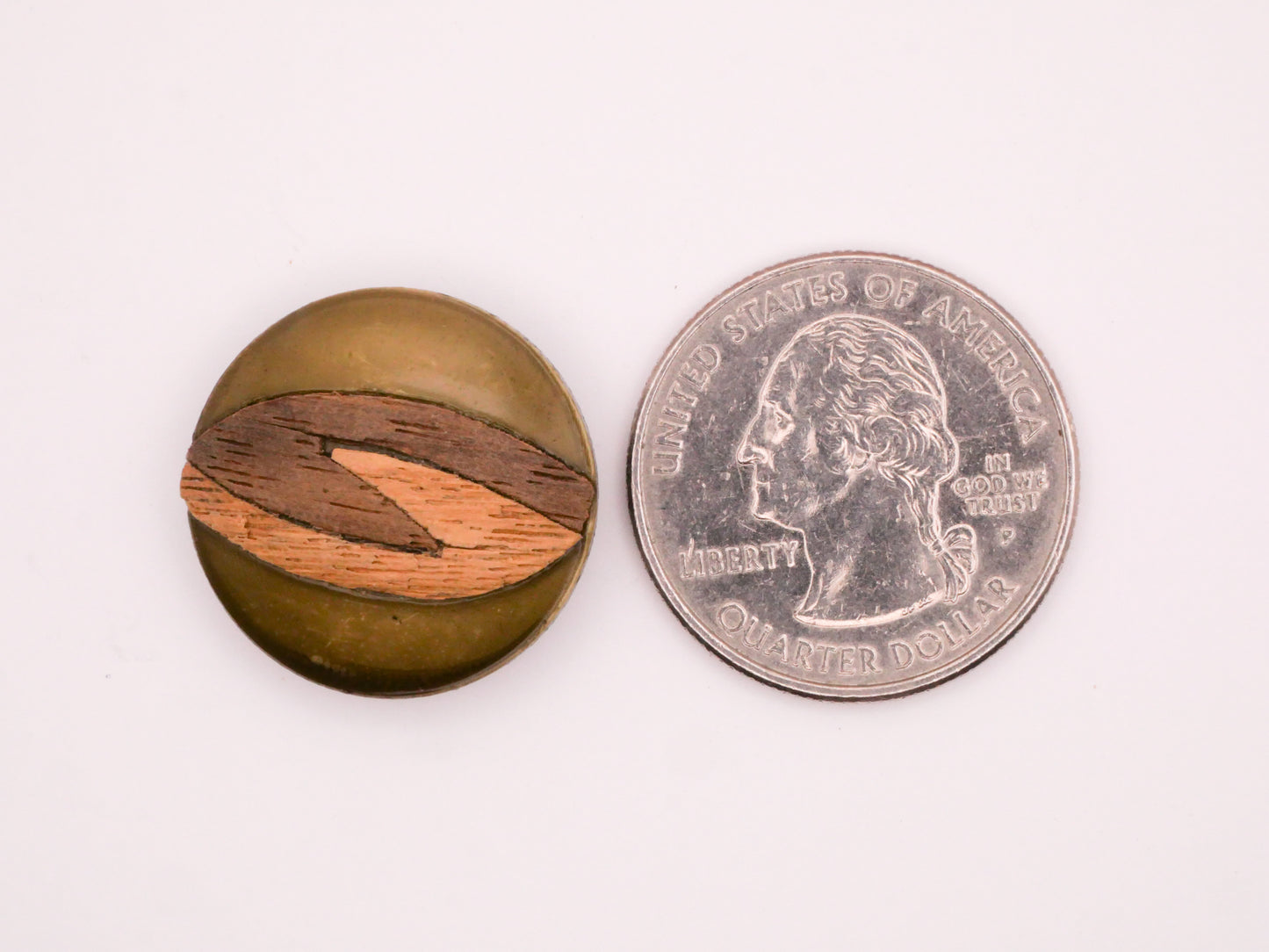 Two-Tone Wood Veneer Green Celluloid Early Plastic Button Various 22mm