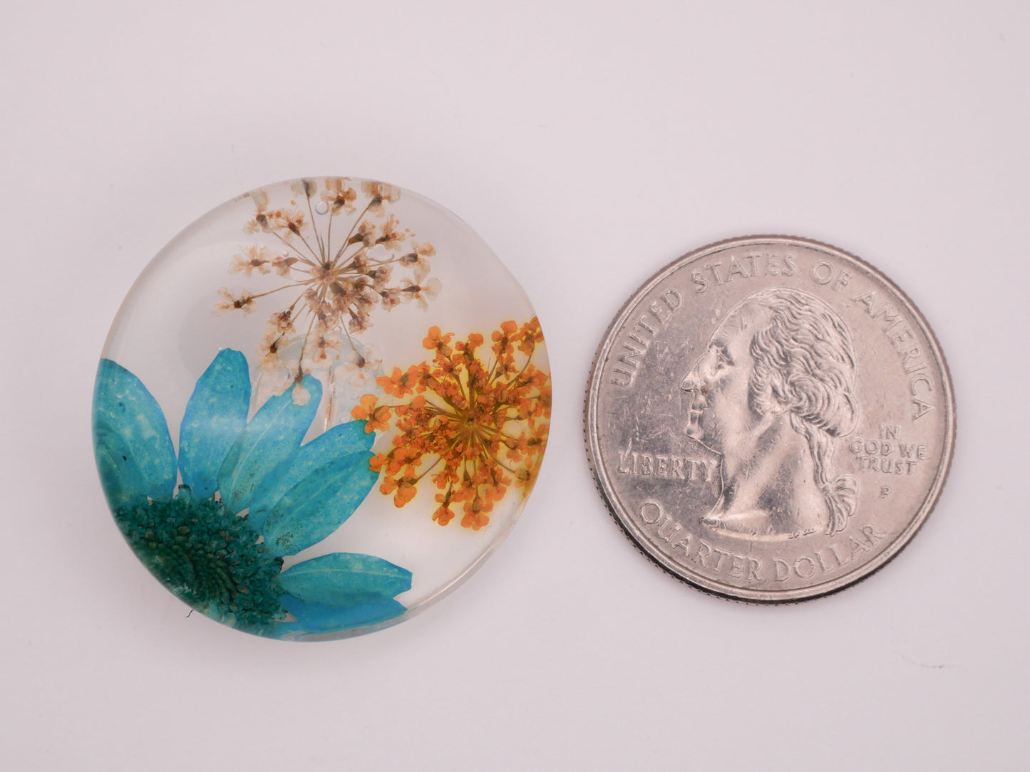Habitat Real Flowers Dyed Glass Plastic Button Various 30mm