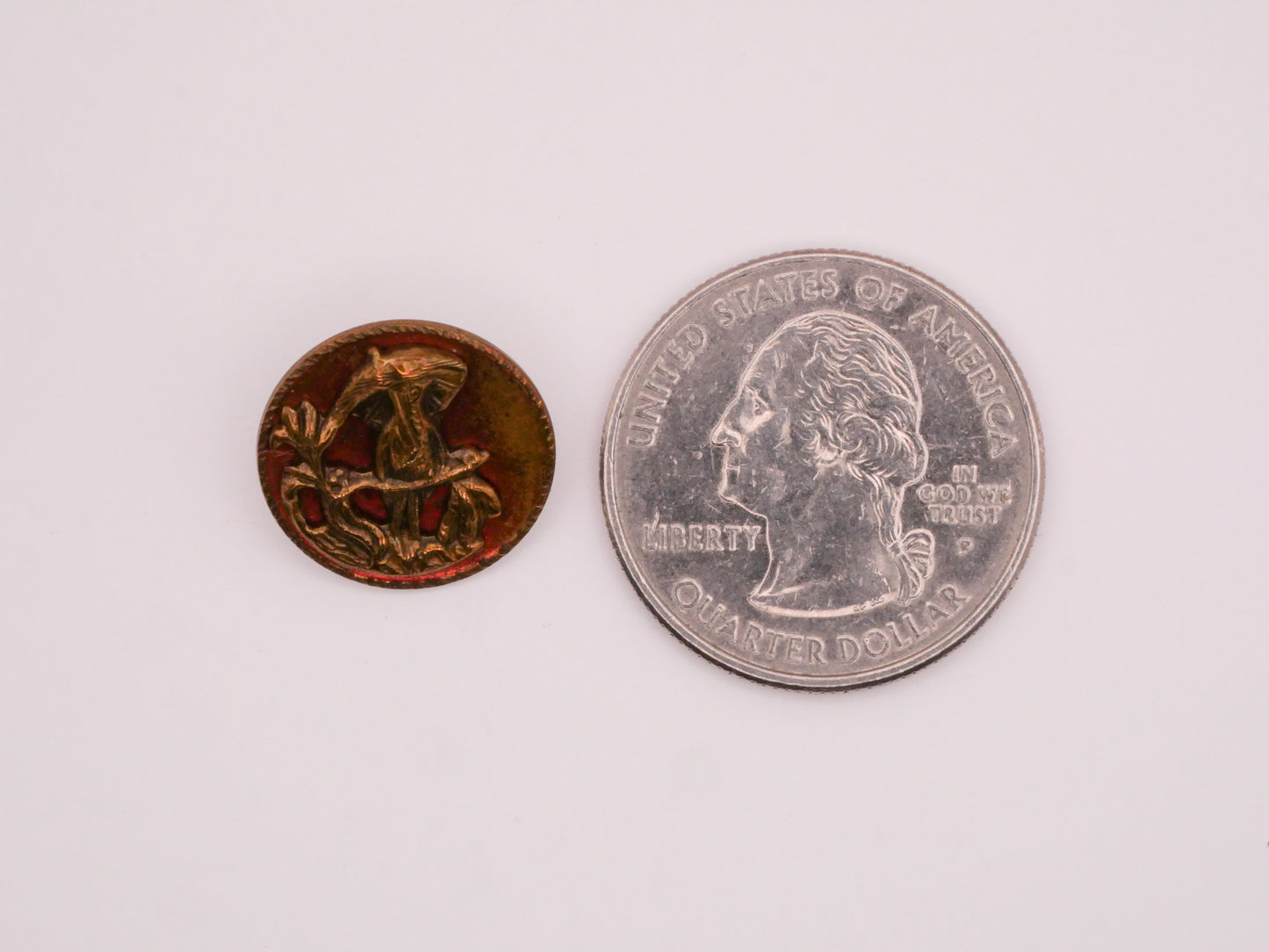 The Rook Bird Umbrella Red Tint Metal Button 16mm