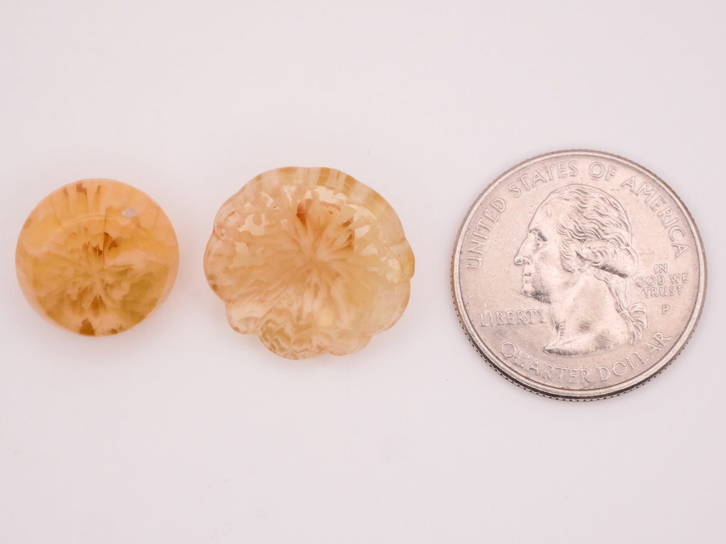 Melted Butter Design in Plastic Vintage Celluloid Button Various 16-20mm