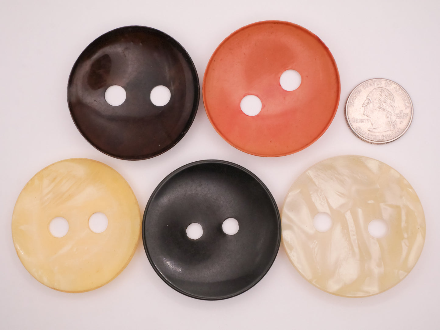 Cupped Large Hole Early Plastic Button Various 48-49mm