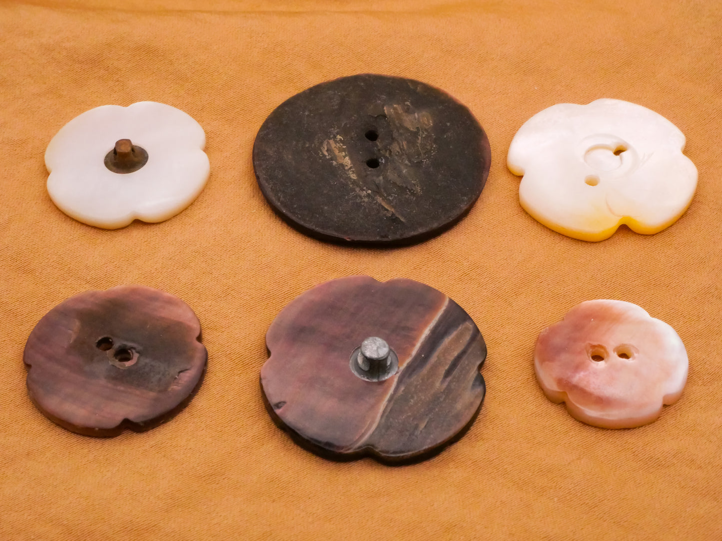 Flower Carved Mother of Pearl Shell Button Various 18-31mm