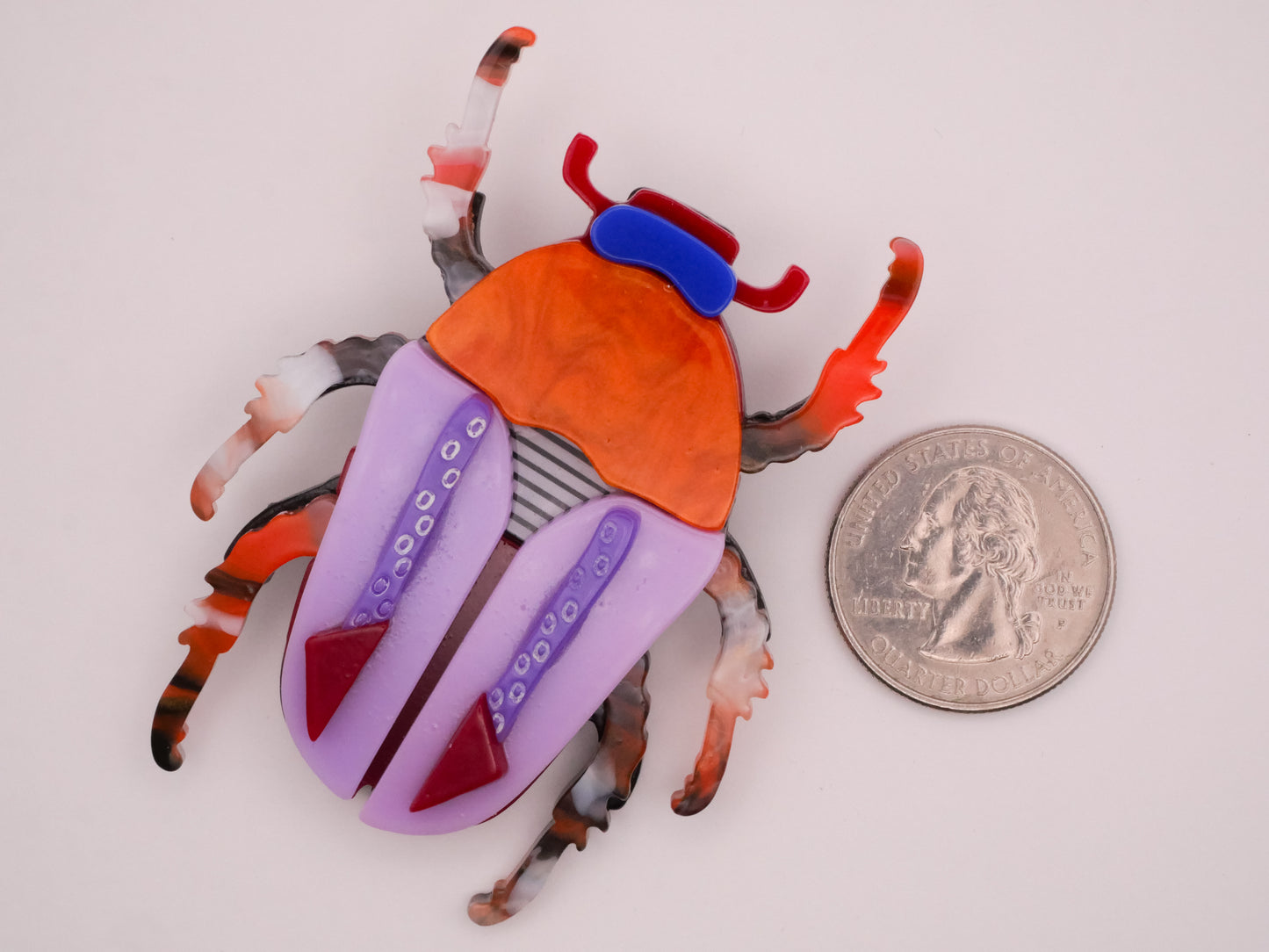 Beetle Insect Bug Large Acrylic Plastic Button 49x68mm