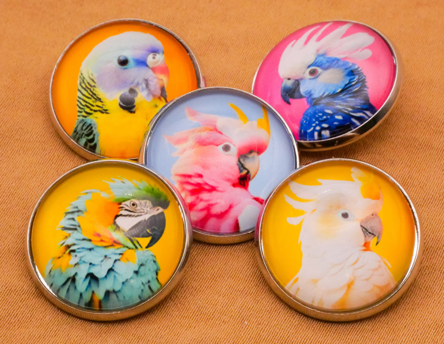 Parrot Tropical Bird Glass Dome Silver Metal Set of Five Buttons 20mm