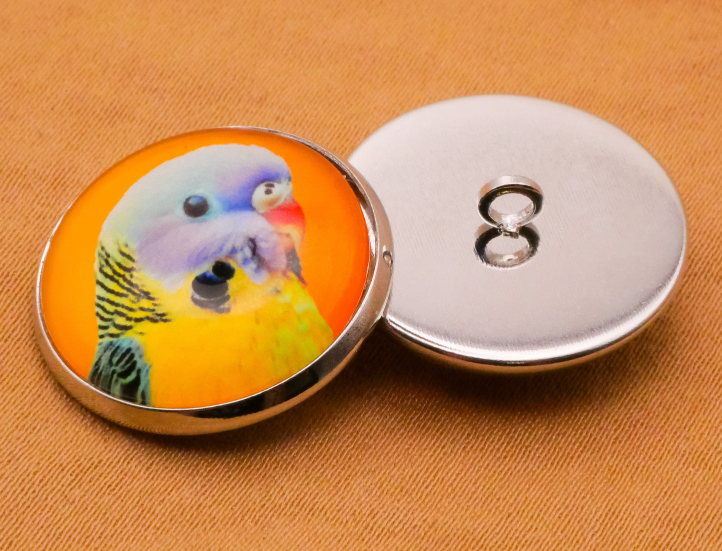 Parrot Tropical Bird Glass Dome Silver Metal Set of Five Buttons 20mm