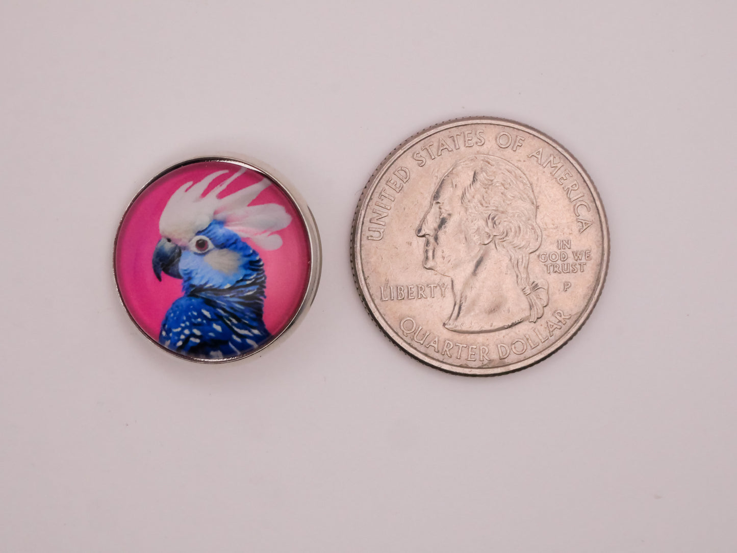 Parrot Tropical Bird Glass Dome Silver Metal Set of Five Buttons 20mm