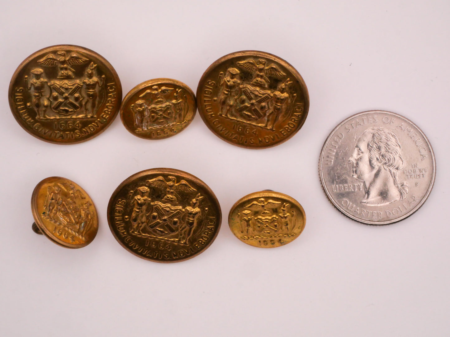 New York State Seal Gold Metal Button Various 16-23mm