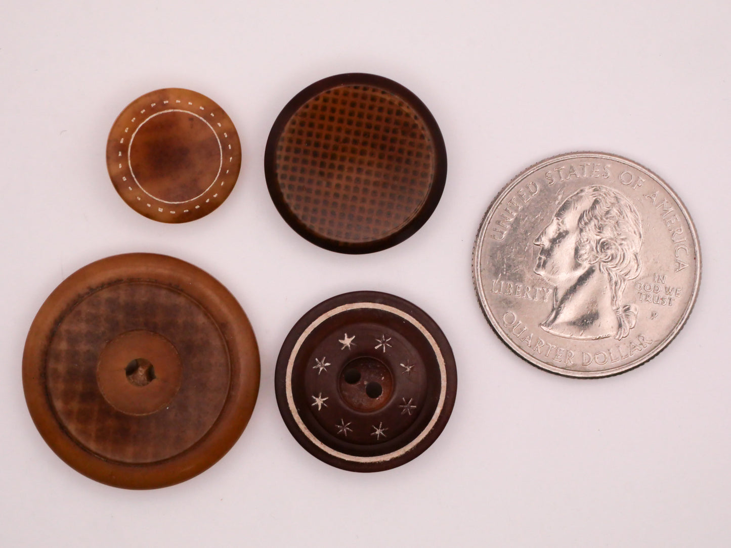 Vegetable Ivory Etched or Plaid Design Button Various 14-25mm