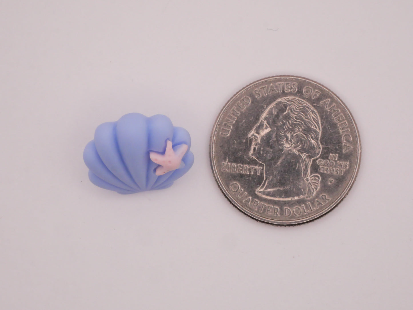 Sea Shell Star Fish Plastic Assorted Set of Three Buttons 16x17mm