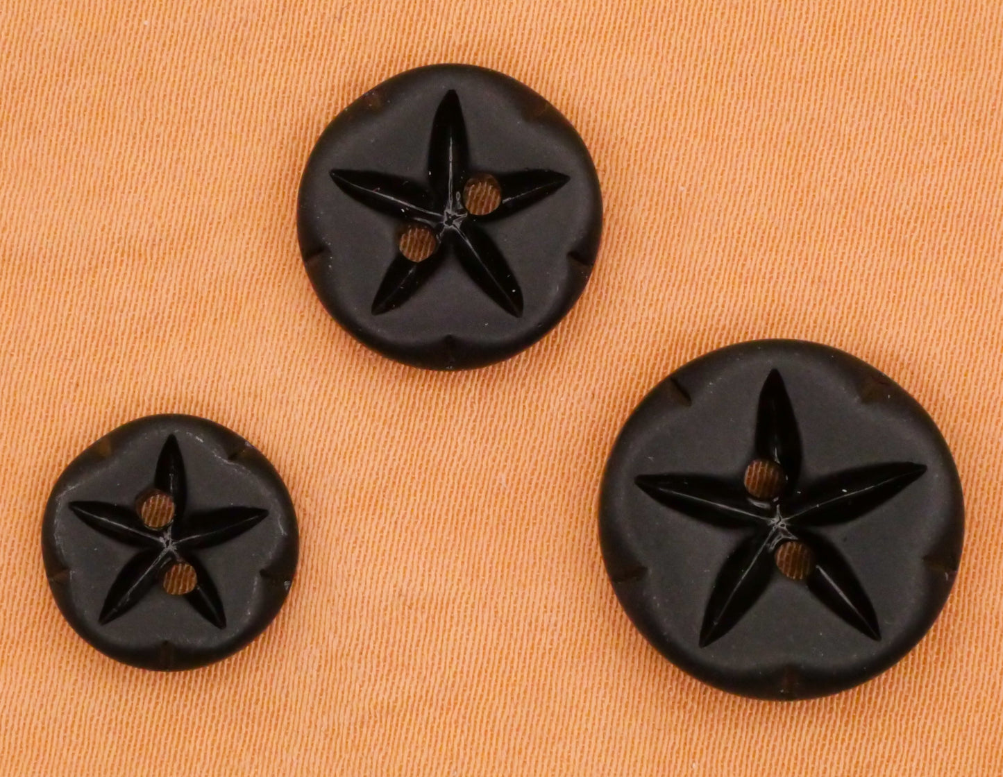 Sand Dollar Matte Black Glass Pair of Buttons Various 11-16mm