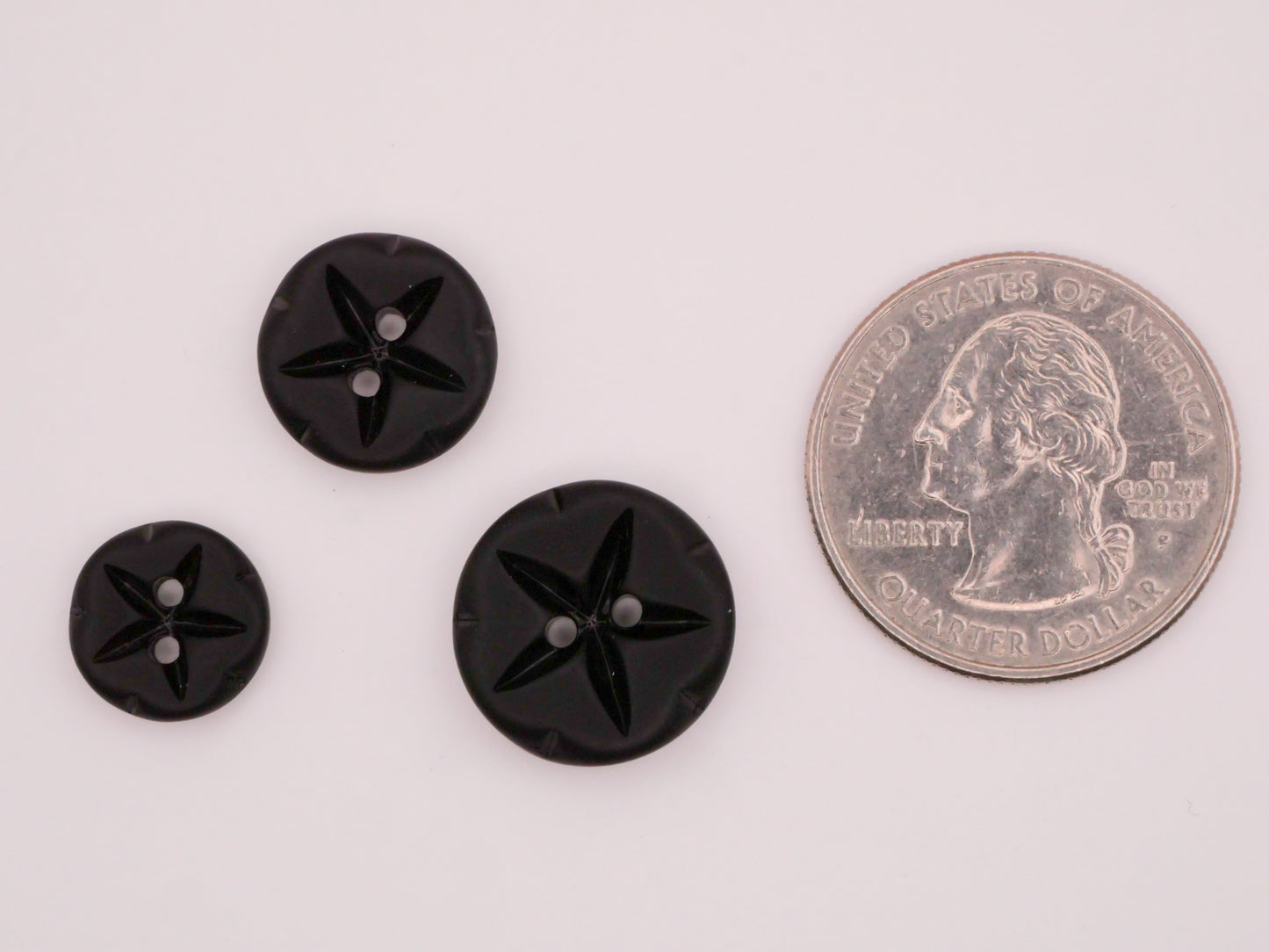 Sand Dollar Matte Black Glass Pair of Buttons Various 11-16mm