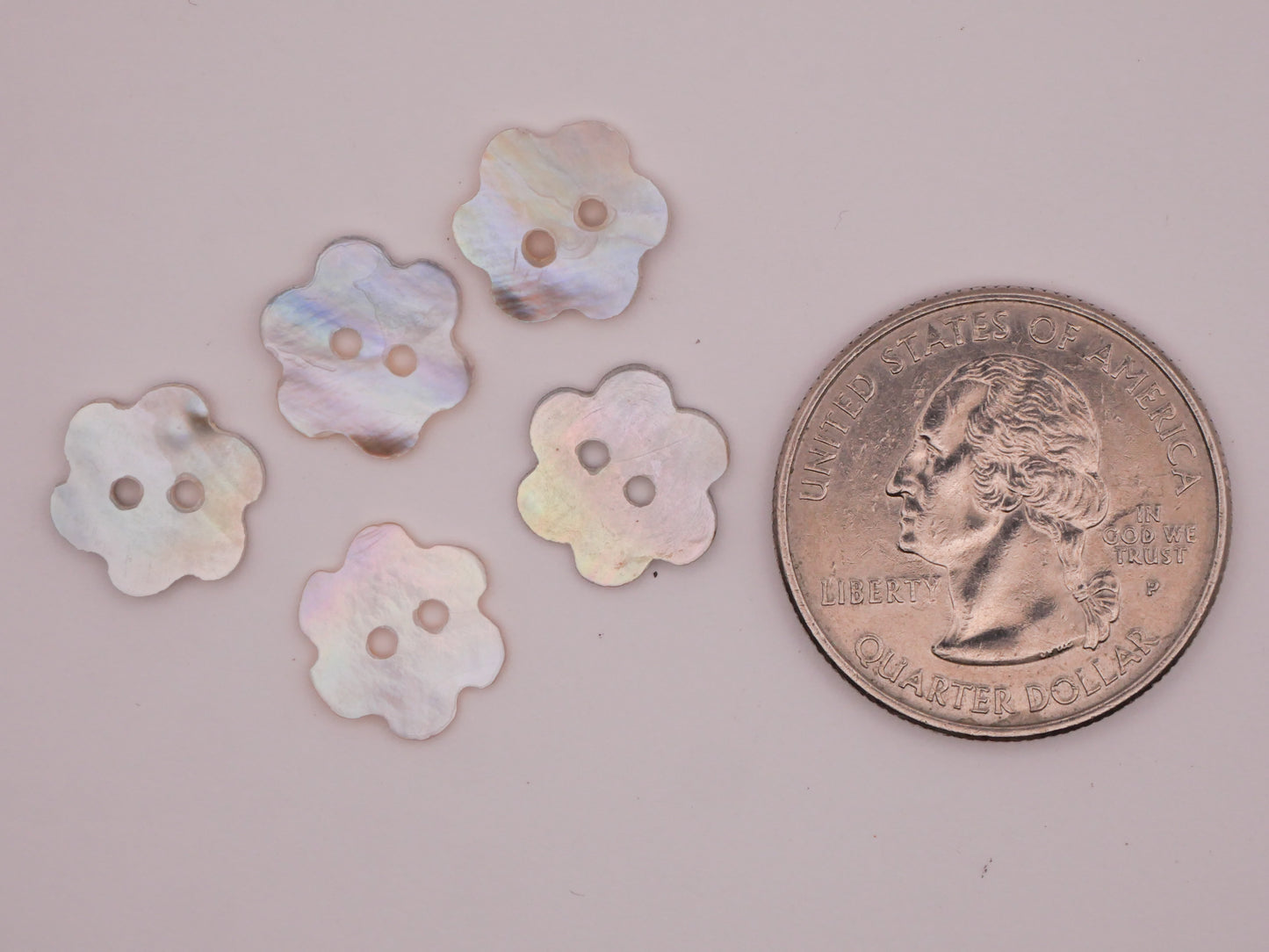 Flower Mother of Pearl Shell Set of Five Buttons 12mm