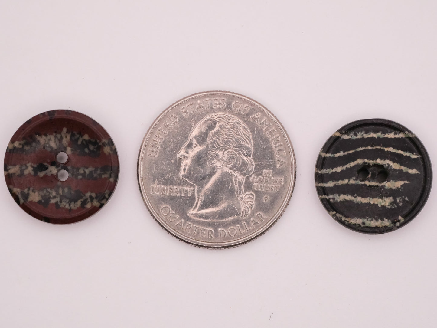 Animal Print Stripe Composition Early Plastic Button Various 17mm