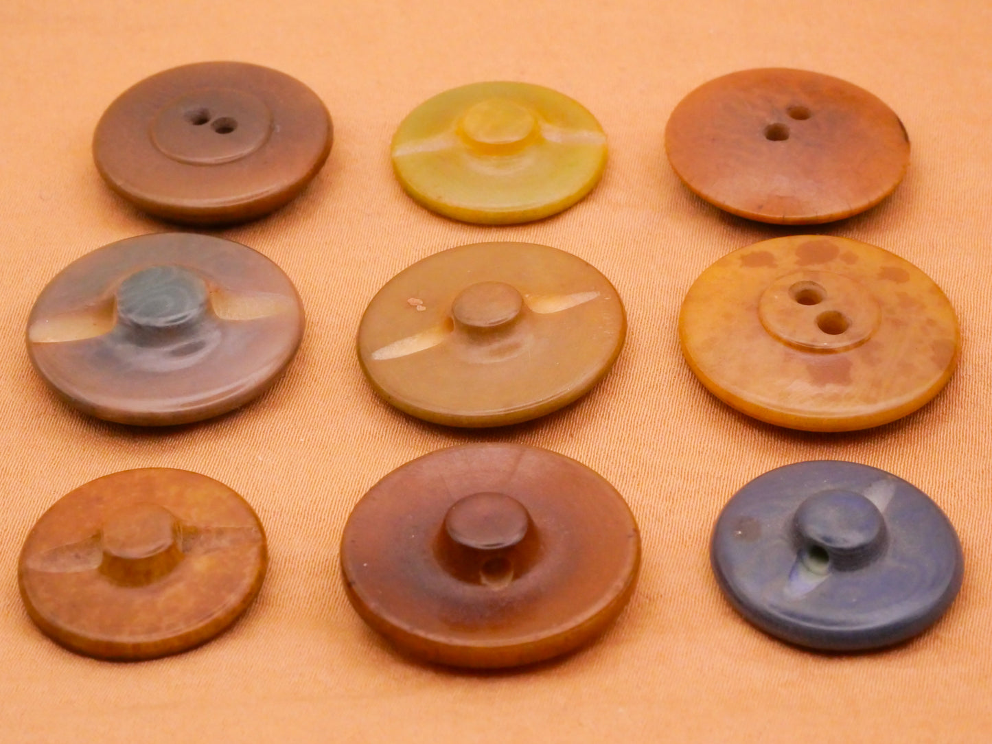Vegetable Ivory Marbled Look Antique Button Various 19-23mm
