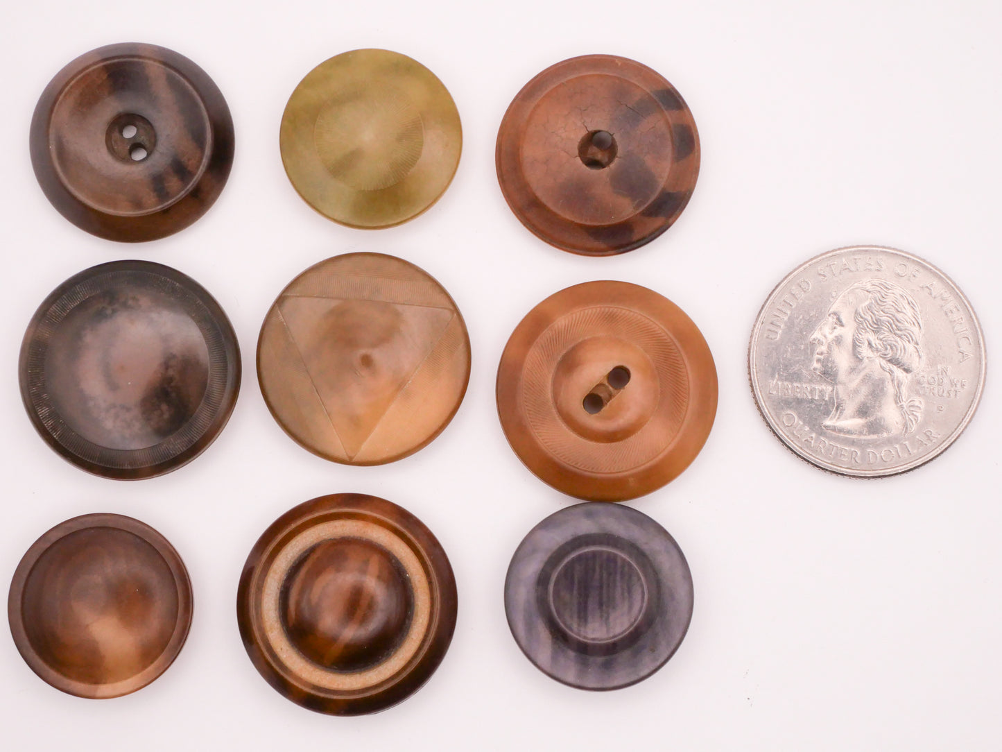 Vegetable Ivory Marbled Look Antique Button Various 19-23mm